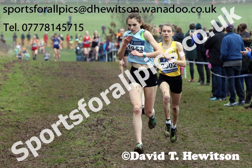 Womens under-17s Inter Counties Cross Country, Prestwold Hall, Loughborough. Photo: David T. Hewitson/Sports for All Pics